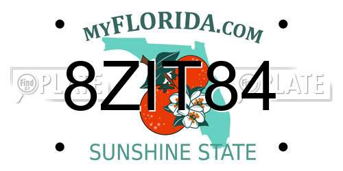8ZIT84 Florida License Plate