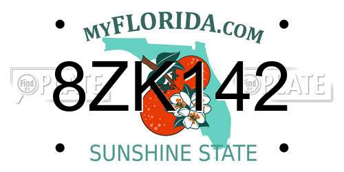 8ZK142 Florida License Plate