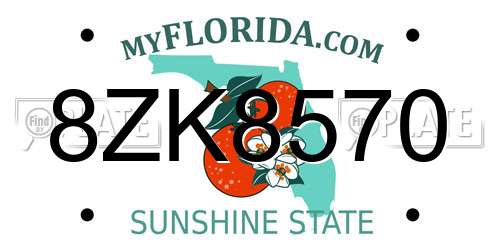 8ZK8570 Florida License Plate