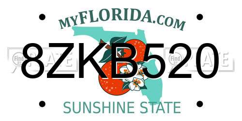 8ZKB520 Florida License Plate