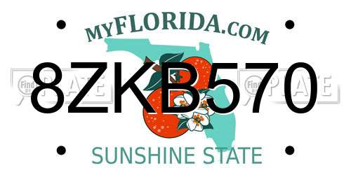 8ZKB570 Florida License Plate