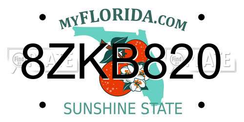 8ZKB820 Florida License Plate
