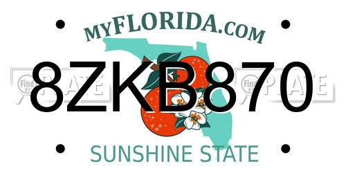 8ZKB870 Florida License Plate
