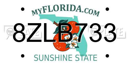8ZLB733 Florida License Plate
