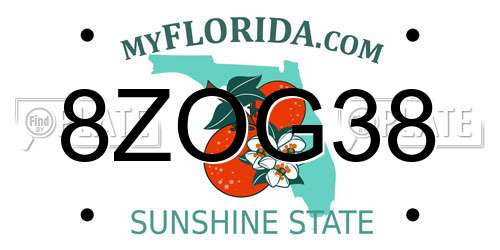 8ZOG38 Florida License Plate