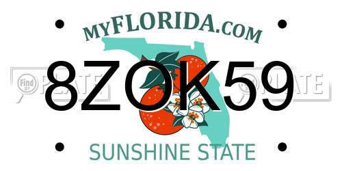 8ZOK59 Florida License Plate