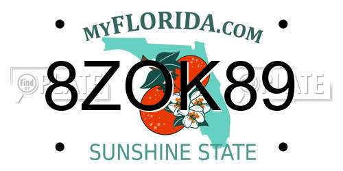 8ZOK89 Florida License Plate