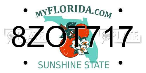 8ZOT717 Florida License Plate