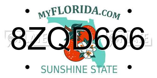 8ZQD666 Florida License Plate
