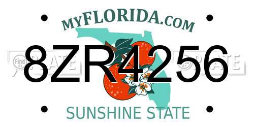 8ZR4256 Florida License Plate