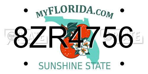 8ZR4756 Florida License Plate