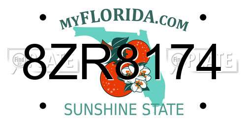 8ZR8174 Florida License Plate
