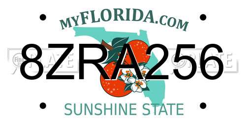 8ZRA256 Florida License Plate
