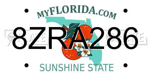 8ZRA286 Florida License Plate