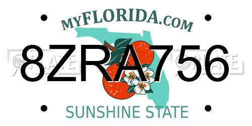 8ZRA756 Florida License Plate
