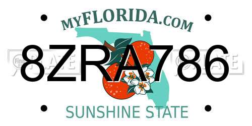 8ZRA786 Florida License Plate