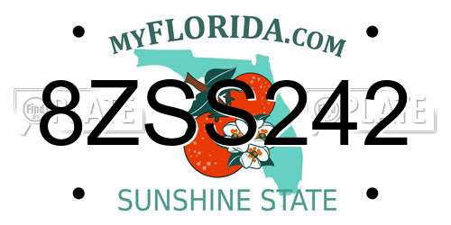 8ZSS242 Florida License Plate