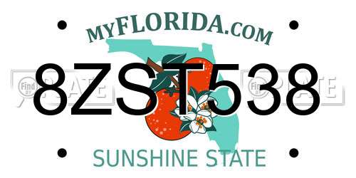 8ZST538 Florida License Plate