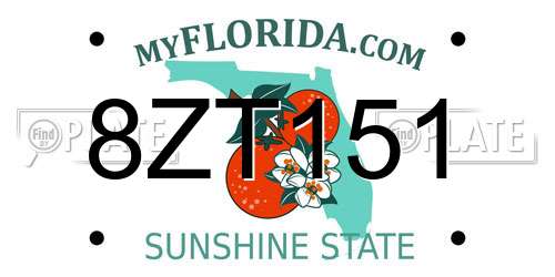 8ZT151 Florida License Plate