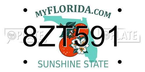 8ZT591 Florida License Plate