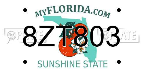 8ZT803 Florida License Plate