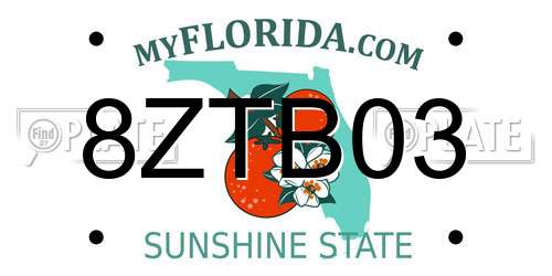 8ZTB03 Florida License Plate
