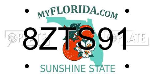 8ZTS91 Florida License Plate
