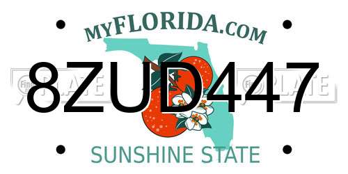 8ZUD447 Florida License Plate