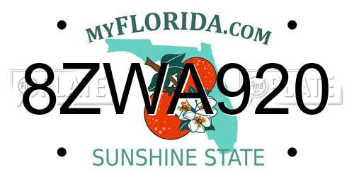 8ZWA920 Florida License Plate