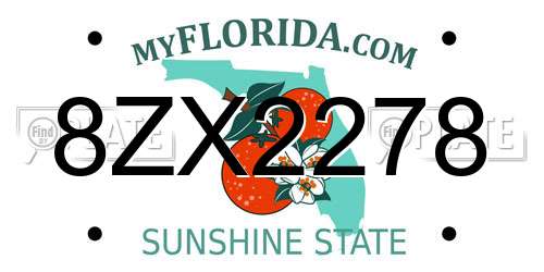 8ZX2278 Florida License Plate