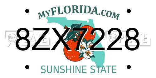 8ZX7228 Florida License Plate