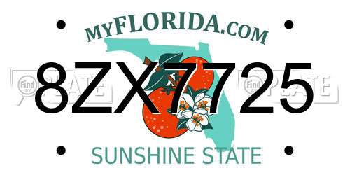 8ZX7725 Florida License Plate