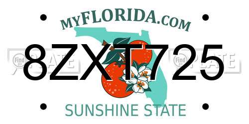 8ZXT725 Florida License Plate