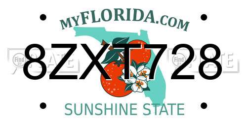 8ZXT728 Florida License Plate