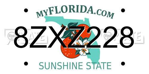 8ZXZ228 Florida License Plate