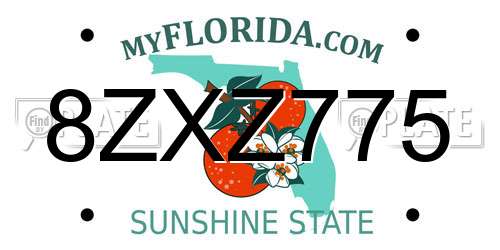 8ZXZ775 Florida License Plate