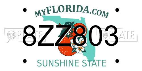 8ZZ803 Florida License Plate