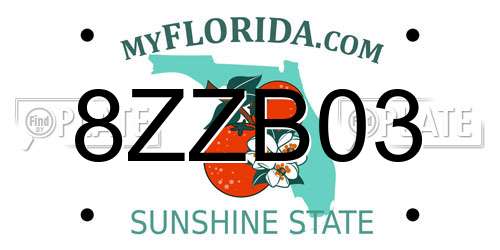 8ZZB03 Florida License Plate