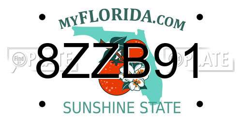 8ZZB91 Florida License Plate