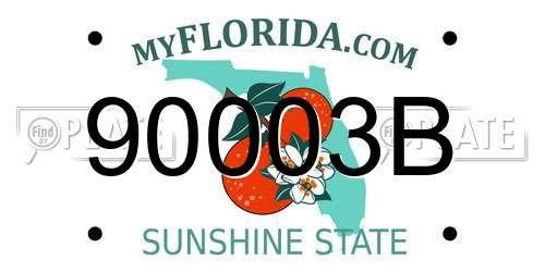 90003B Florida License Plate