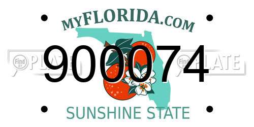 900074 Florida License Plate