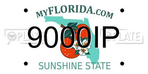 9000IP Florida License Plate