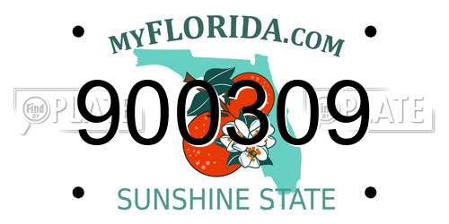 900309 Florida License Plate