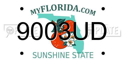 9003UD Florida License Plate