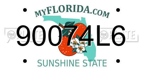 90074L6 Florida License Plate