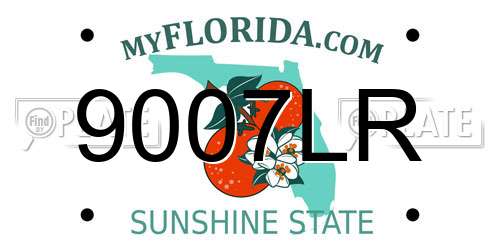 9007LR Florida License Plate