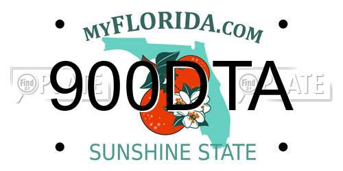 900DTA Florida License Plate