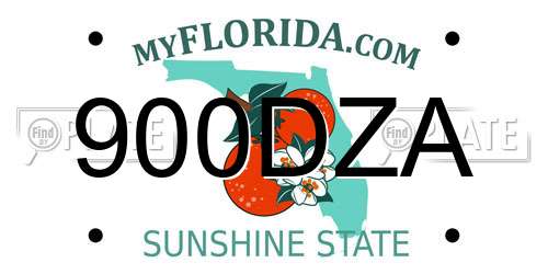 900DZA Florida License Plate