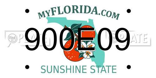900E09 Florida License Plate