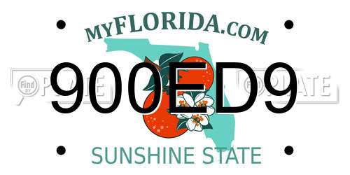 900ED9 Florida License Plate